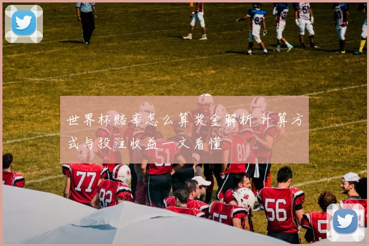 世界杯赔率怎么算奖金解析 计算方式与投注收益一文看懂