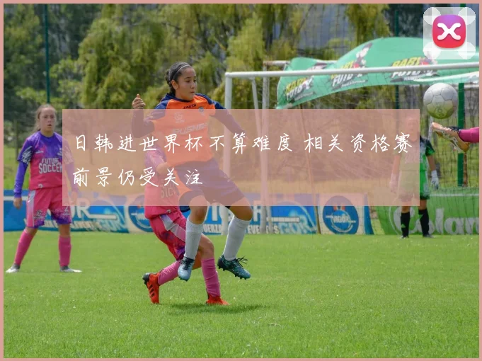 日韩进世界杯不算难度 相关资格赛前景仍受关注