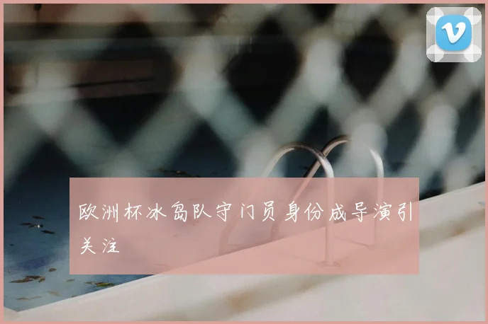 欧洲杯冰岛队守门员身份成导演引关注