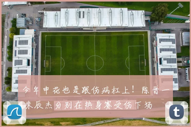 今年申花也是跟伤病杠上！陈晋一 朱辰杰分别在热身赛受伤下场