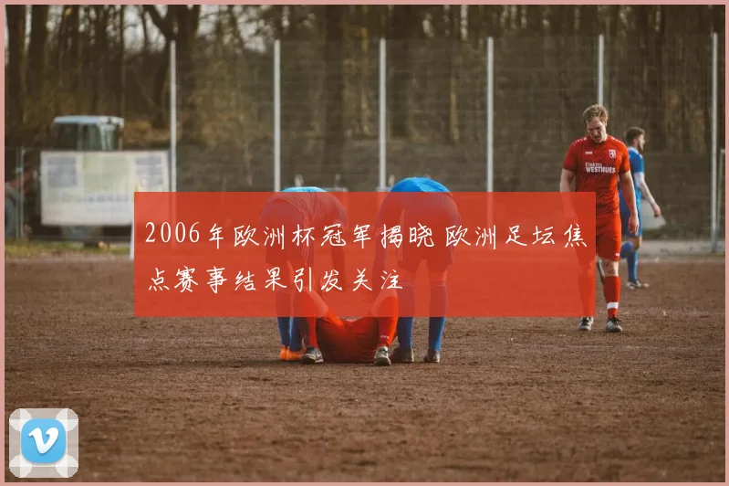 2006年欧洲杯冠军揭晓 欧洲足坛焦点赛事结果引发关注